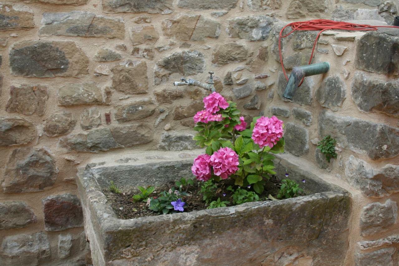 Affittacamere Mas Tulsà Rural Riudellots de la Creu Esterno foto