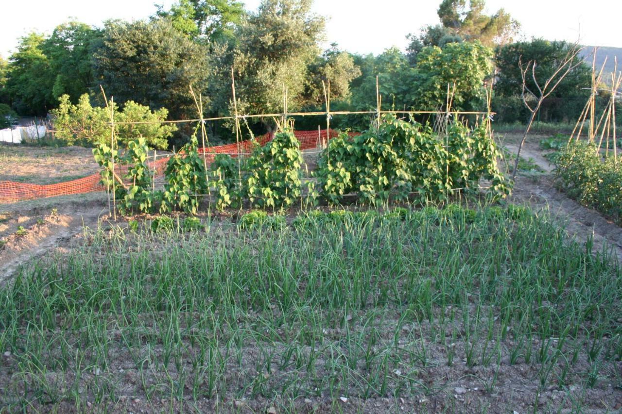 Affittacamere Mas Tulsà Rural Riudellots de la Creu Esterno foto